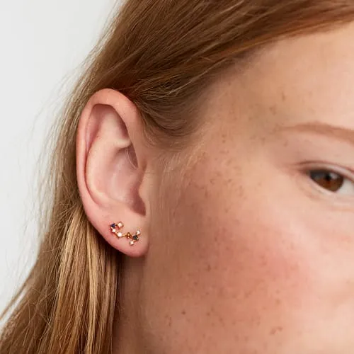 PDPAOLA ZODIAC EARRINGS - PP.AR01-411-U